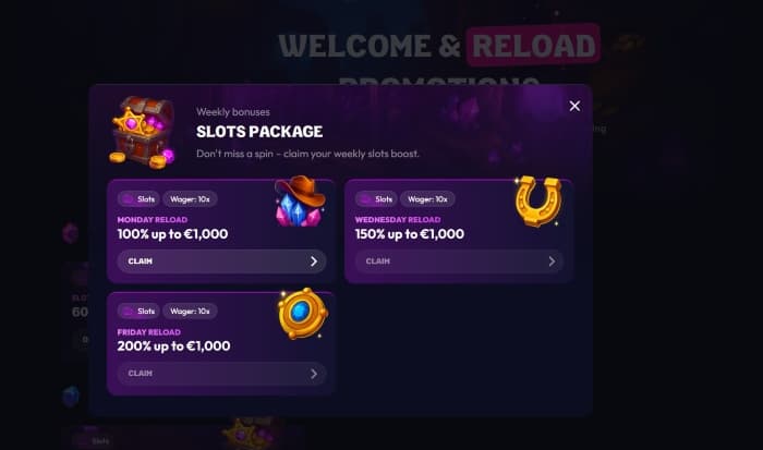 WILDZY BONUS
